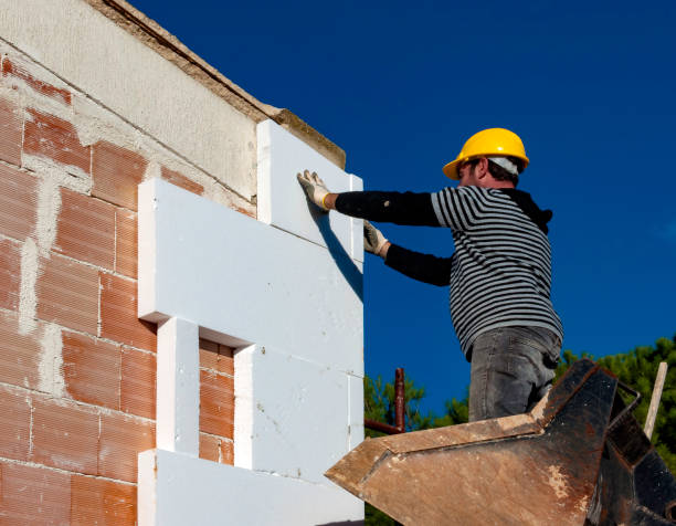 Best Specialized Insulation Services in San Buenaventura, CA