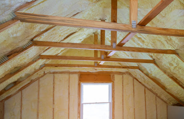 Best Blown-in Insulation in San Buenaventura, CA