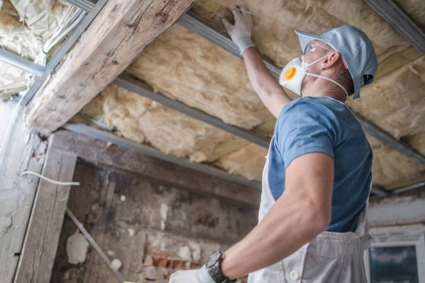 Best Cellulose Insulation in San Buenaventura, CA