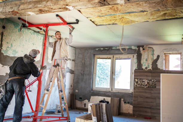 Best Insulation Maintenance and Repair in San Buenaventura, CA