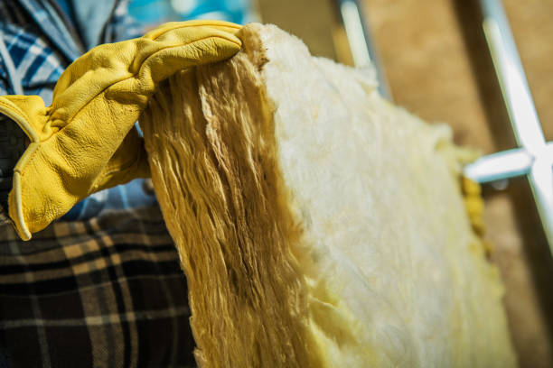 Best Commercial Insulation in San Buenaventura, CA
